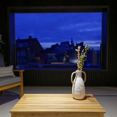 Les Terrasses De Sainte Waudru 아파트호텔 몽스
